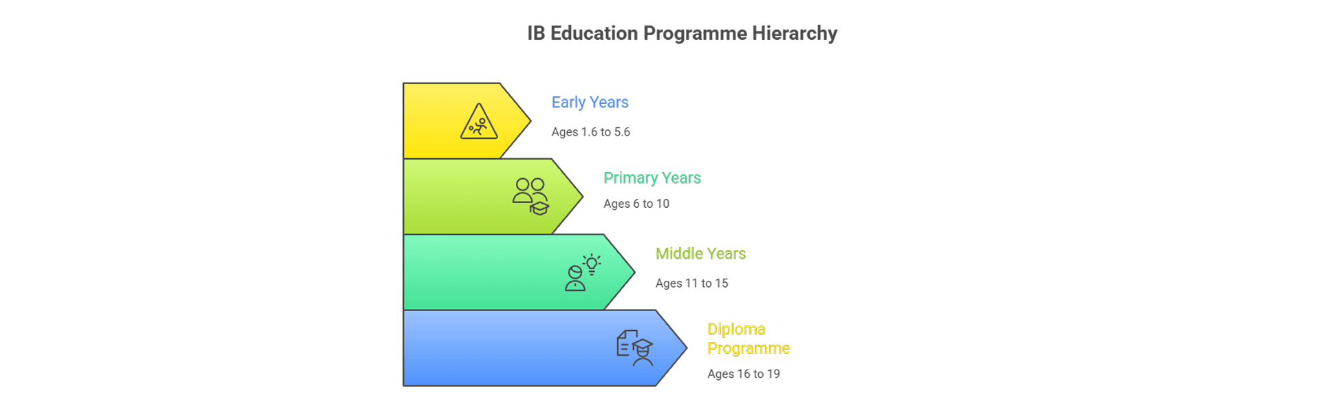IB education programme hierarchy